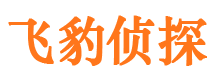 彭山市婚外情调查